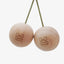 Photo packshot oftraining tool Climbing Balls 10cm YY Vertical