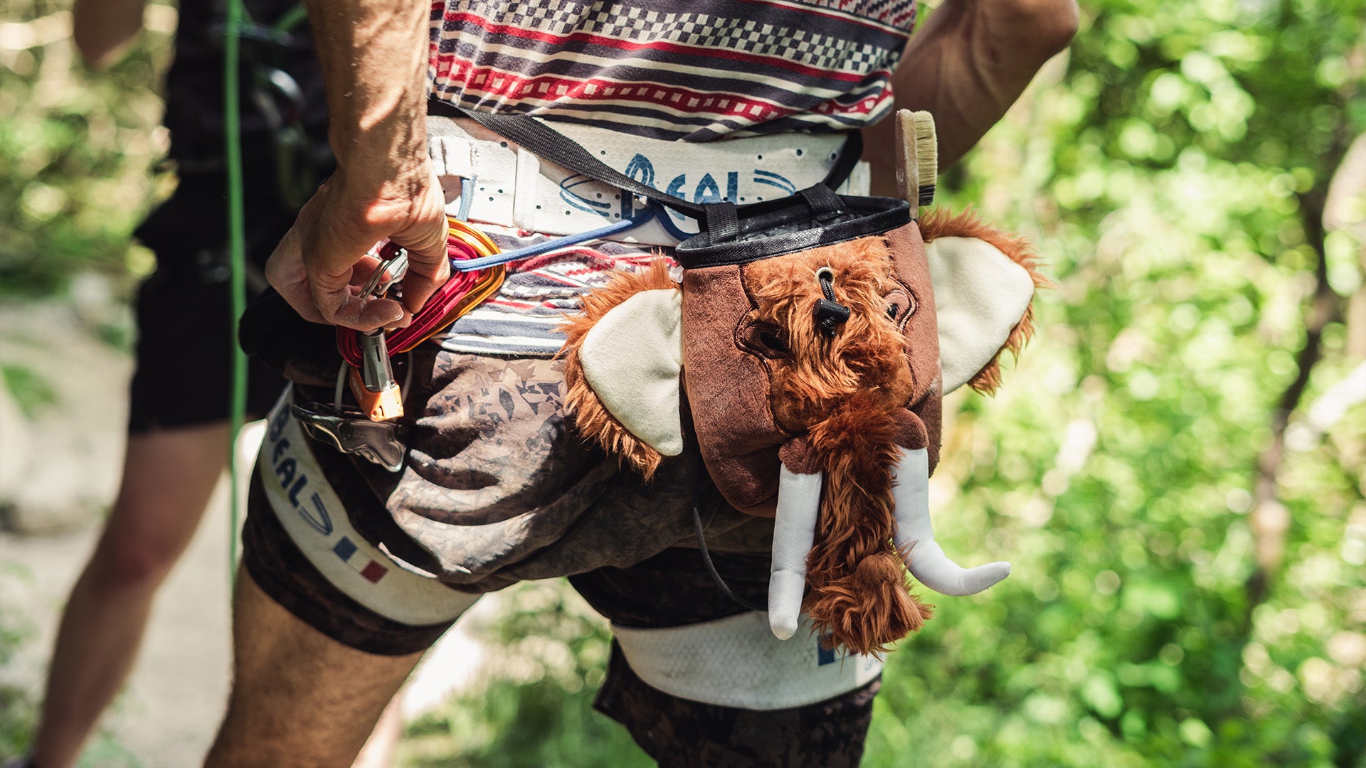 Prehistoric Animal Chalk Bags Collection YY Vertical