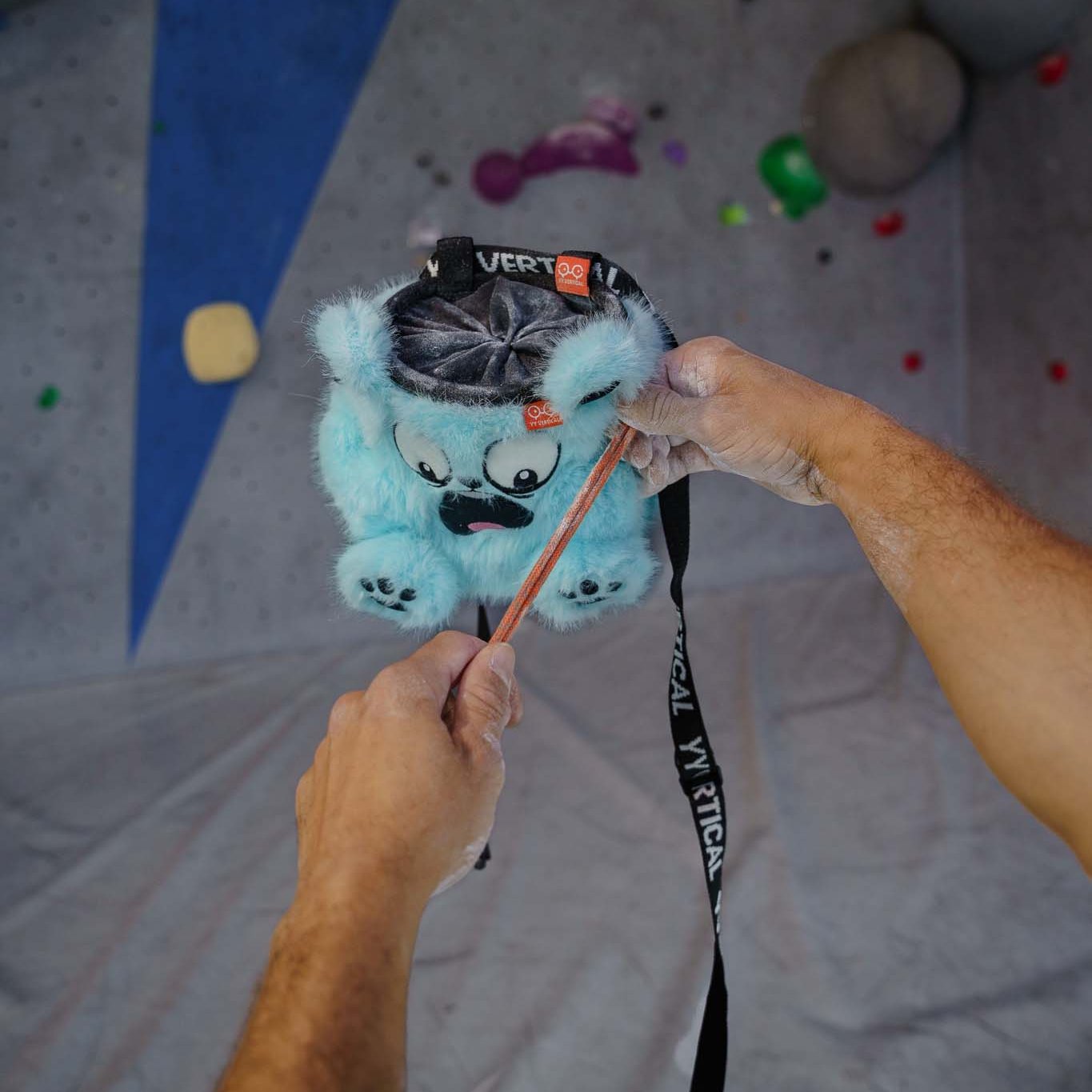 Triceratops chalk bag | YY Vertical