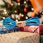 Elastic Bands Bands blue resistance band on gifts