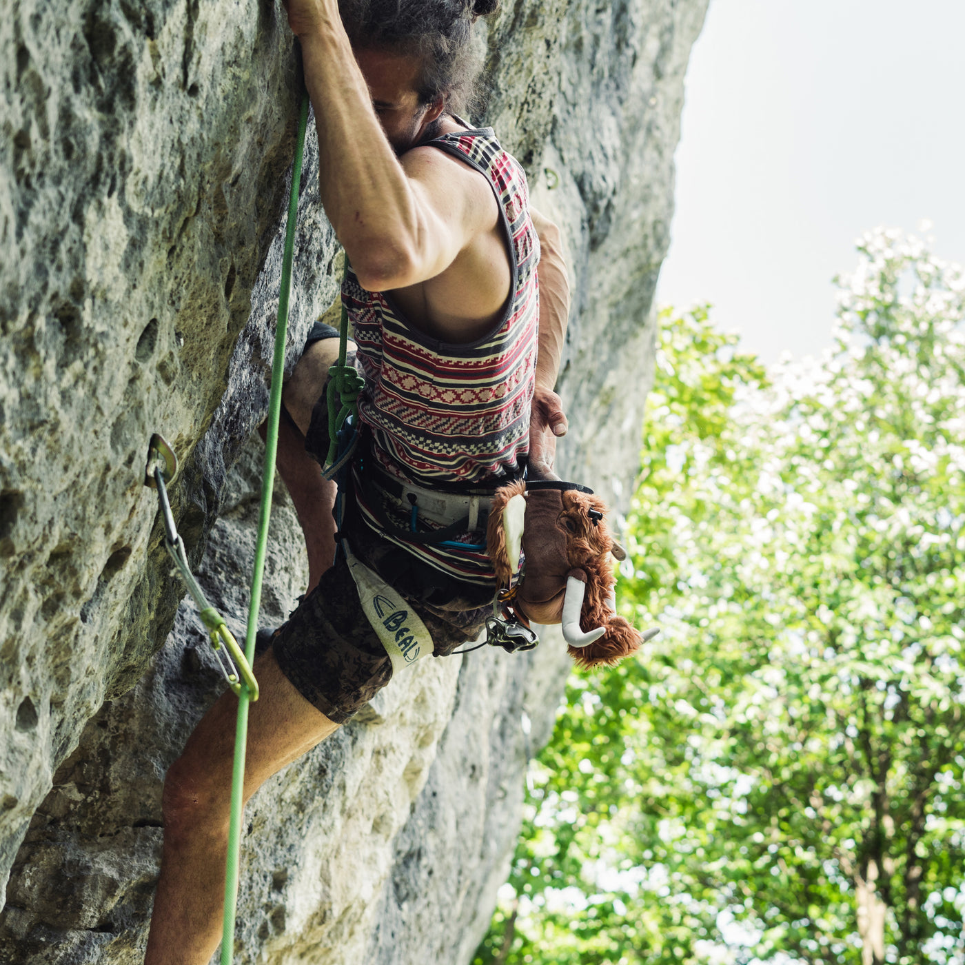 Mammut