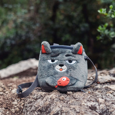 Katze