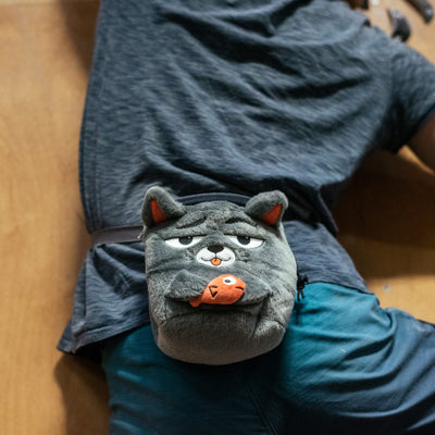 Katze
