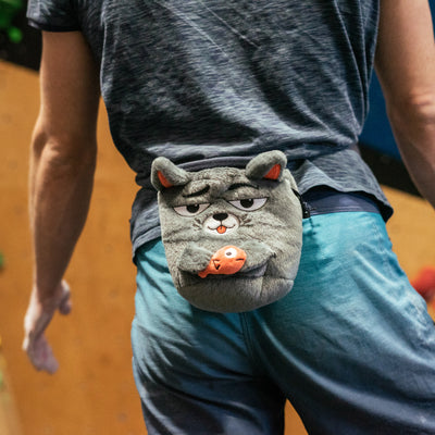 Katze